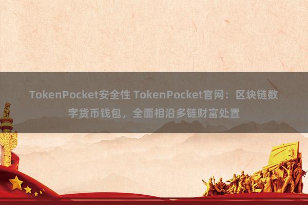 TokenPocket安全性 TokenPocket官网：区块链数字货币钱包，全面相沿多链财富处置