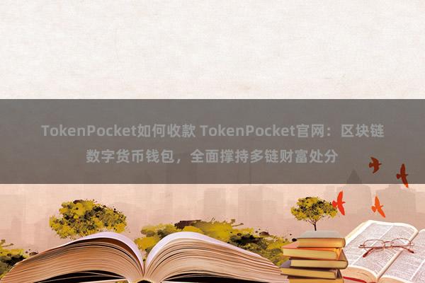 TokenPocket如何收款 TokenPocket官网：区块链数字货币钱包，全面撑持多链财富处分