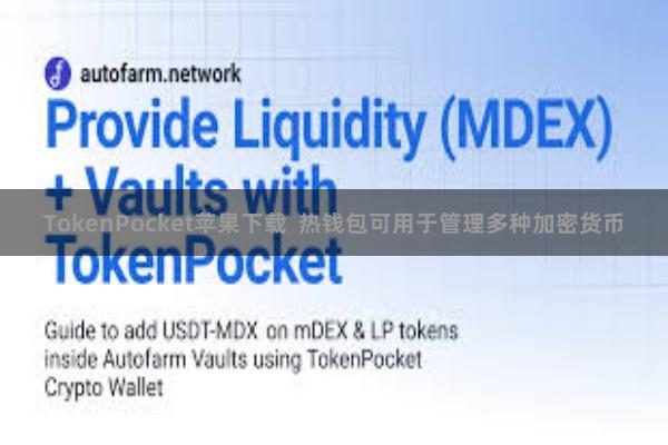 TokenPocket苹果下载  热钱包可用于管理多种加密货币